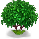 Кусты отрисованное