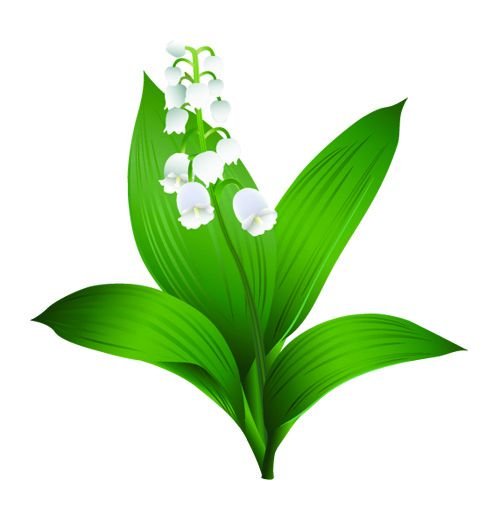 Картина Ландыш для детей