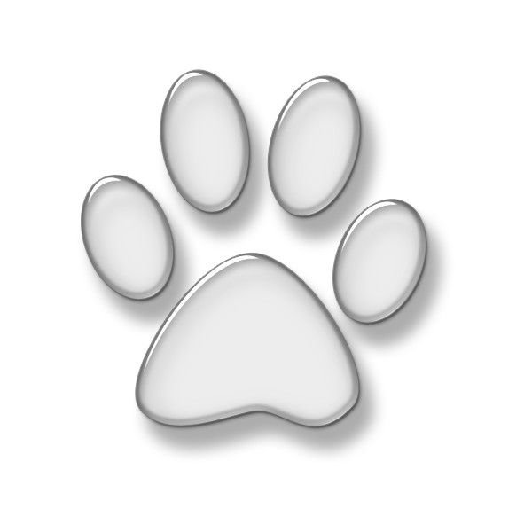 Отпечаток кошачьей лапки