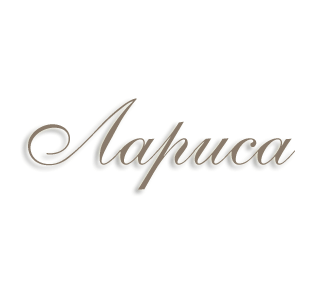 Надпись с именем Лариса