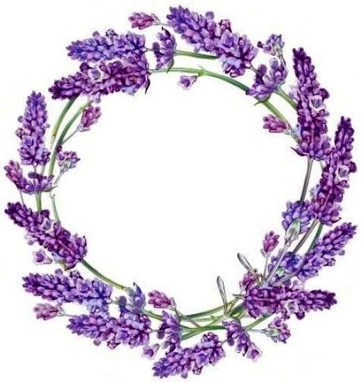 Рамка из лаванды