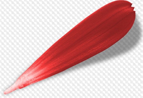 Лепестки на прозрачном фоне