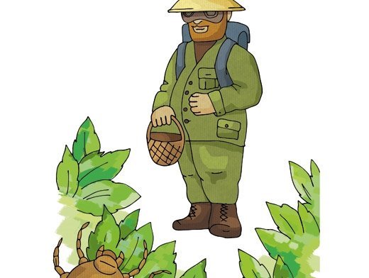 Лесник для детей