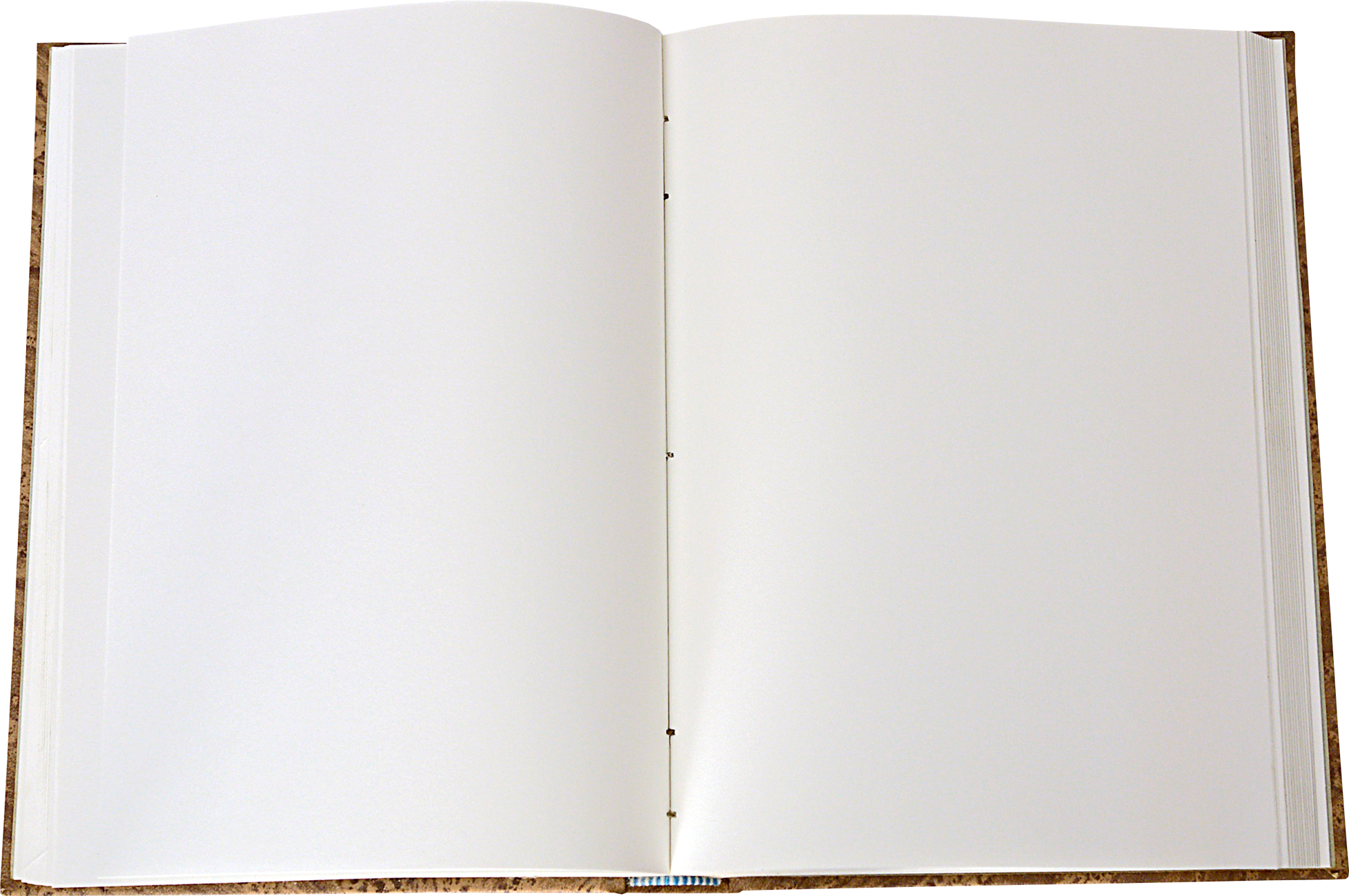 Образцы страницы книги