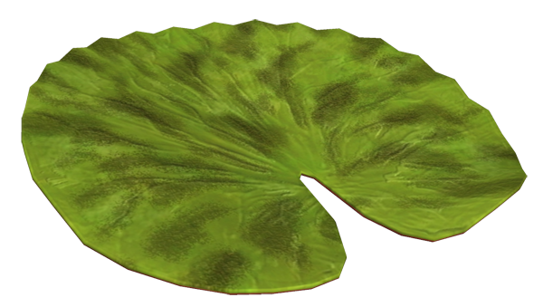 Лист кувшинки