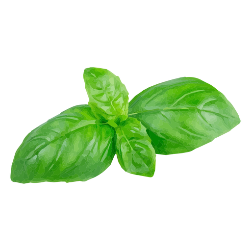 Базилик на прозрачном фоне