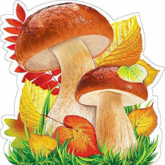 «Грибы для белки» (Комарова, с.36)