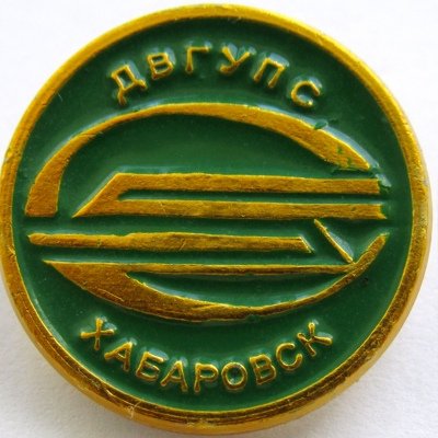 Нагрудный знак ДВГУПС