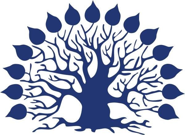 Дерево КУБГУ