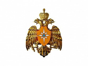 Академия гражданской защиты МЧС России эмблема