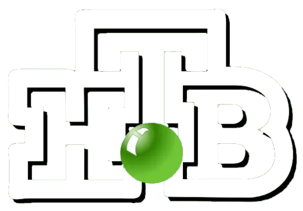 НТВ старый логотип