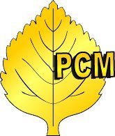 РСМ логотип