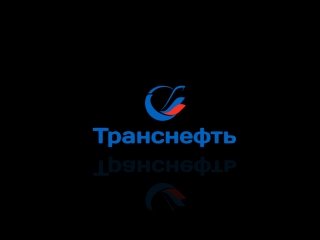 Транснефть Восток логотип