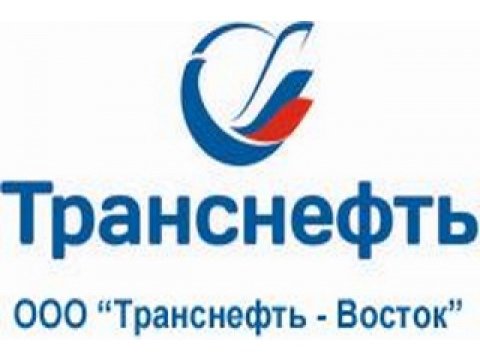 Транснефть Восток логотип