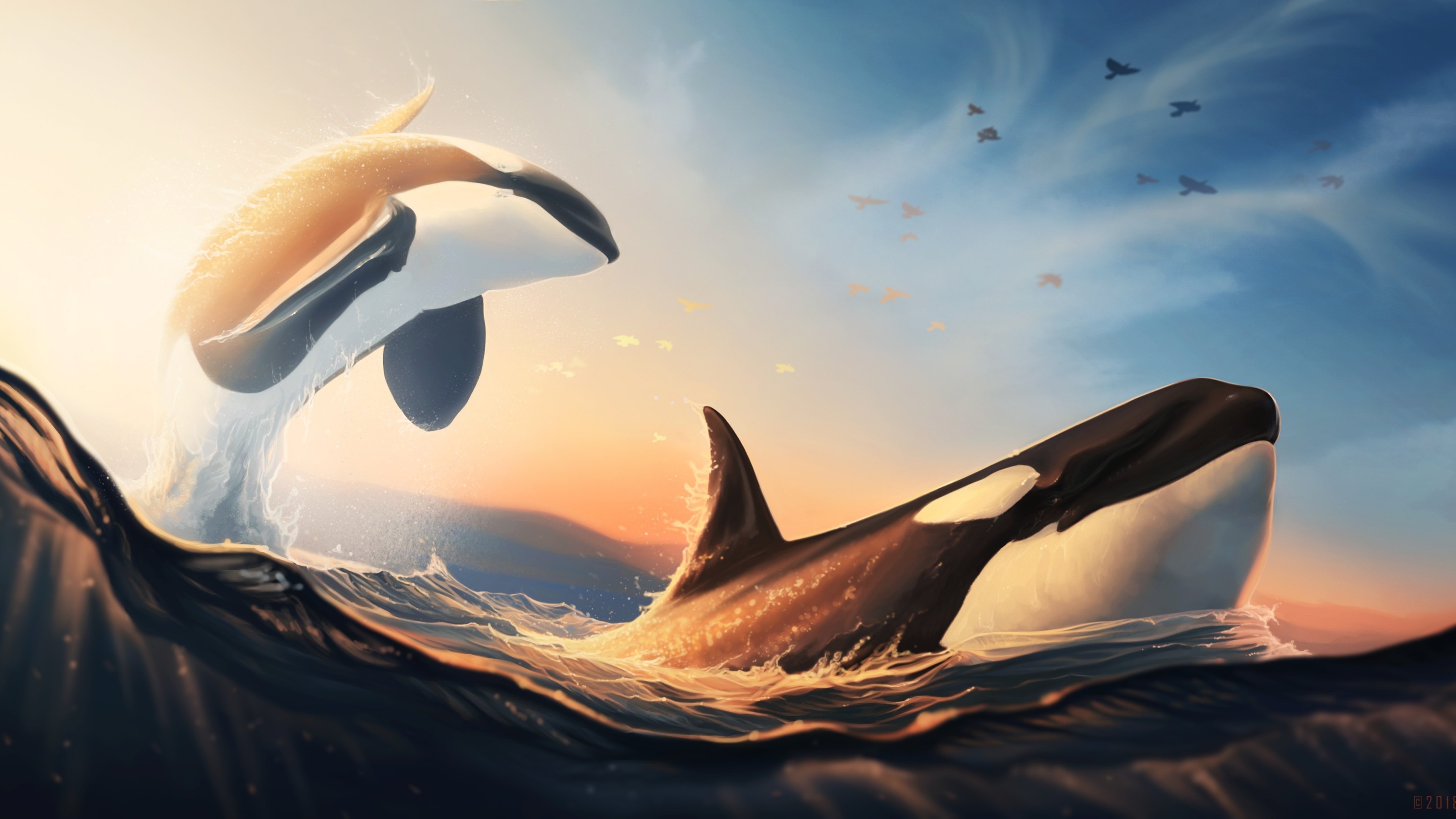Кит обои на телефон. Киты касатки дельфины. Orca Касатка Касатка. Касатка Дельфин акула. Художник Кристиан Риес Лассен.