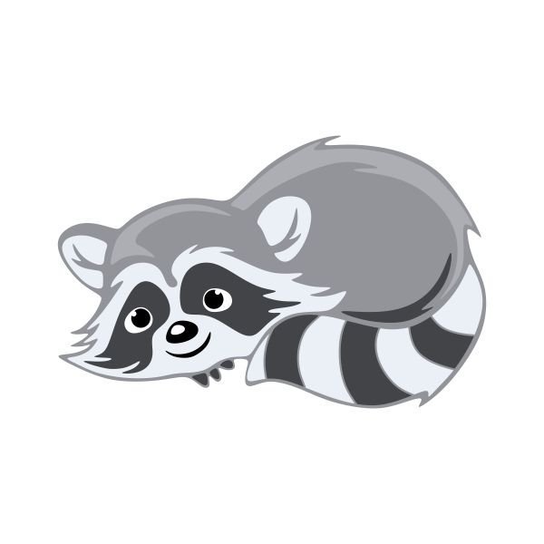 Мультяшные еноты