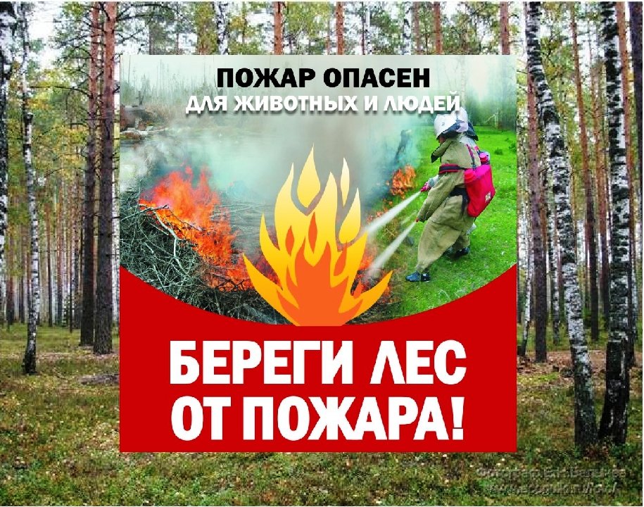 Берегите Лис от пожара. Охрана лесов от пожаров. Противопожарные плакаты в лесу. Табличка берегите лес от пожара. Слова берегите лес