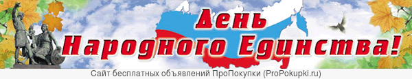 День народного единства растяжка