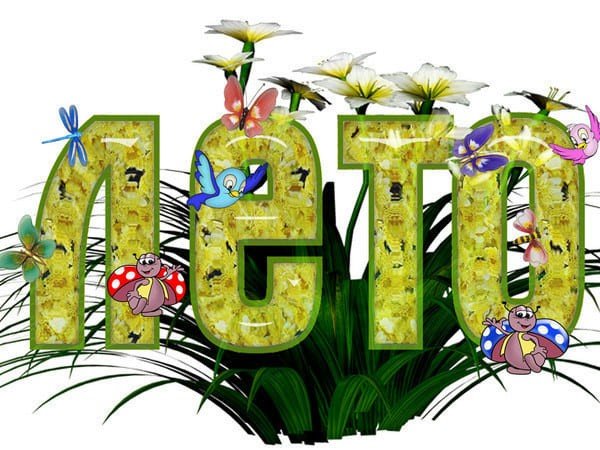 Красивые слова про лето