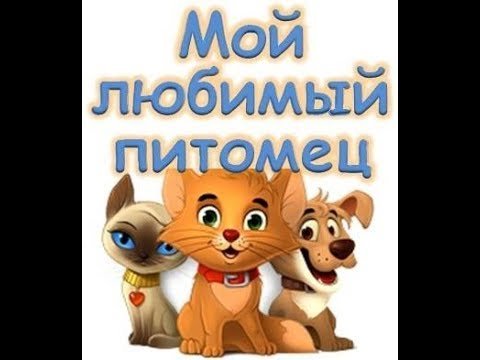 Мой любимый домашний питомец