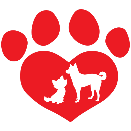 Любимый питомец