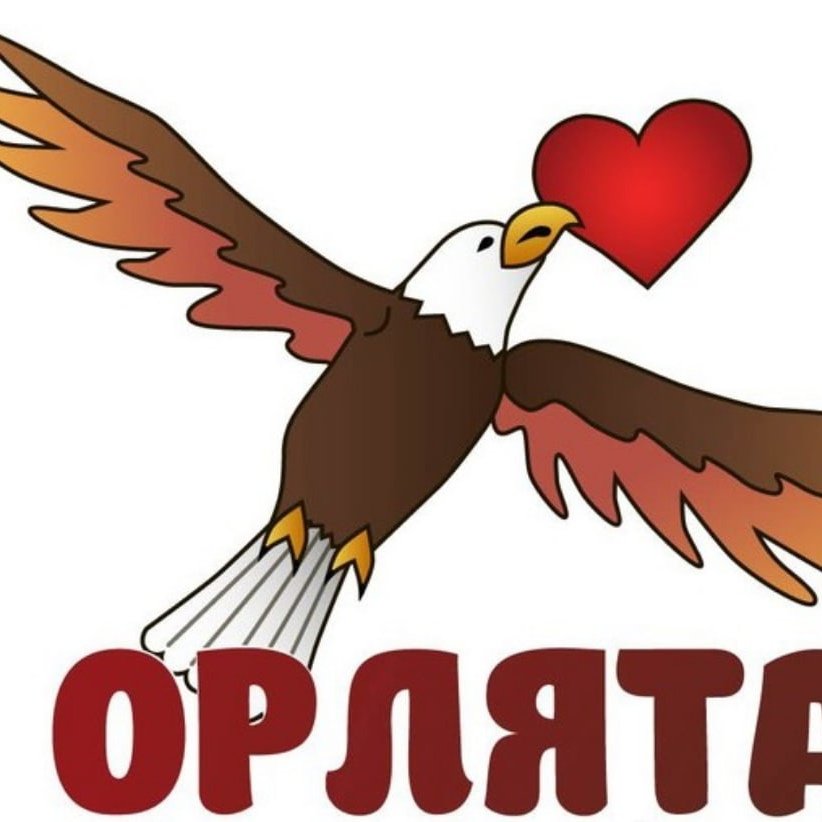 Орлята России Картинки