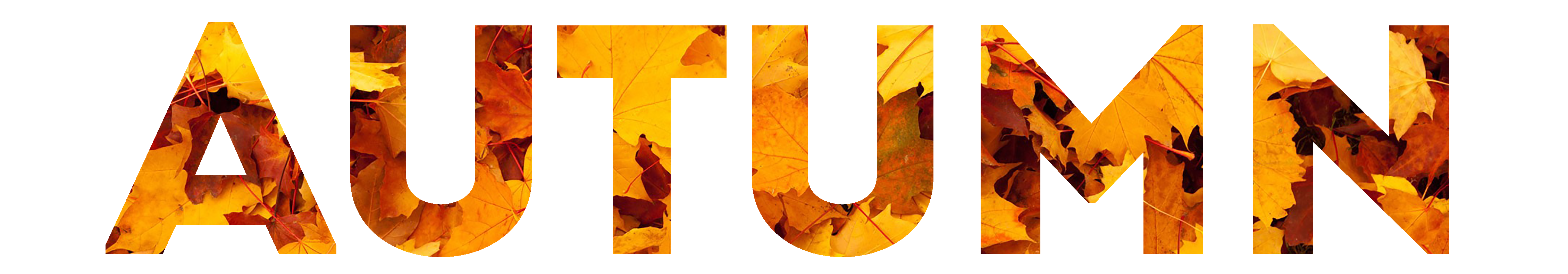 Сочетание слово осень. Autumn надпись. autumn надпись красивым шрифтом. осенние надписи на прозрачном фоне. что такое осень слова.