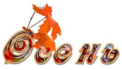 Надпись осенний бал на прозрачном фоне (36 фото)