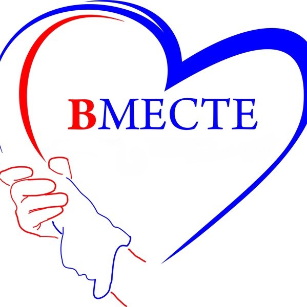 Волонтеры мы вместе
