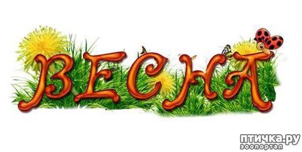 Надпись Весна для детского сада