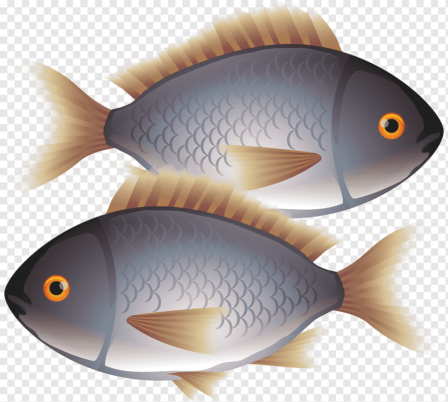 Рыба для детей. Рыба для детей на прозрачном фоне. Изображение рыбы для детей. Рыбка на прозрачном фоне. Рыба для ребенка 2