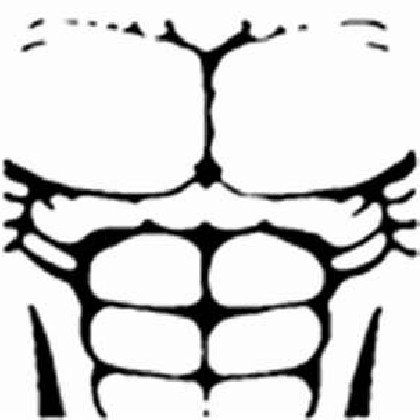 T Shirt Roblox пресс