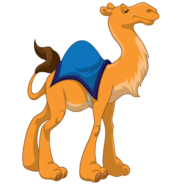 Верблюд для детей