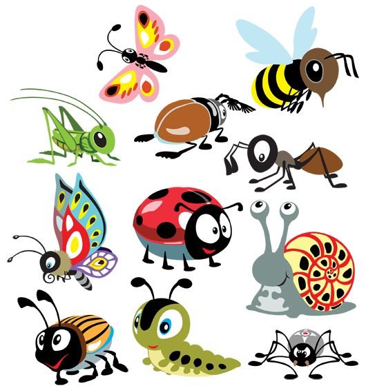 Цветные насекомые для детей