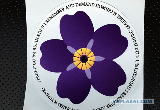 Незабудка армянская на прозрачном фоне (44 фото)