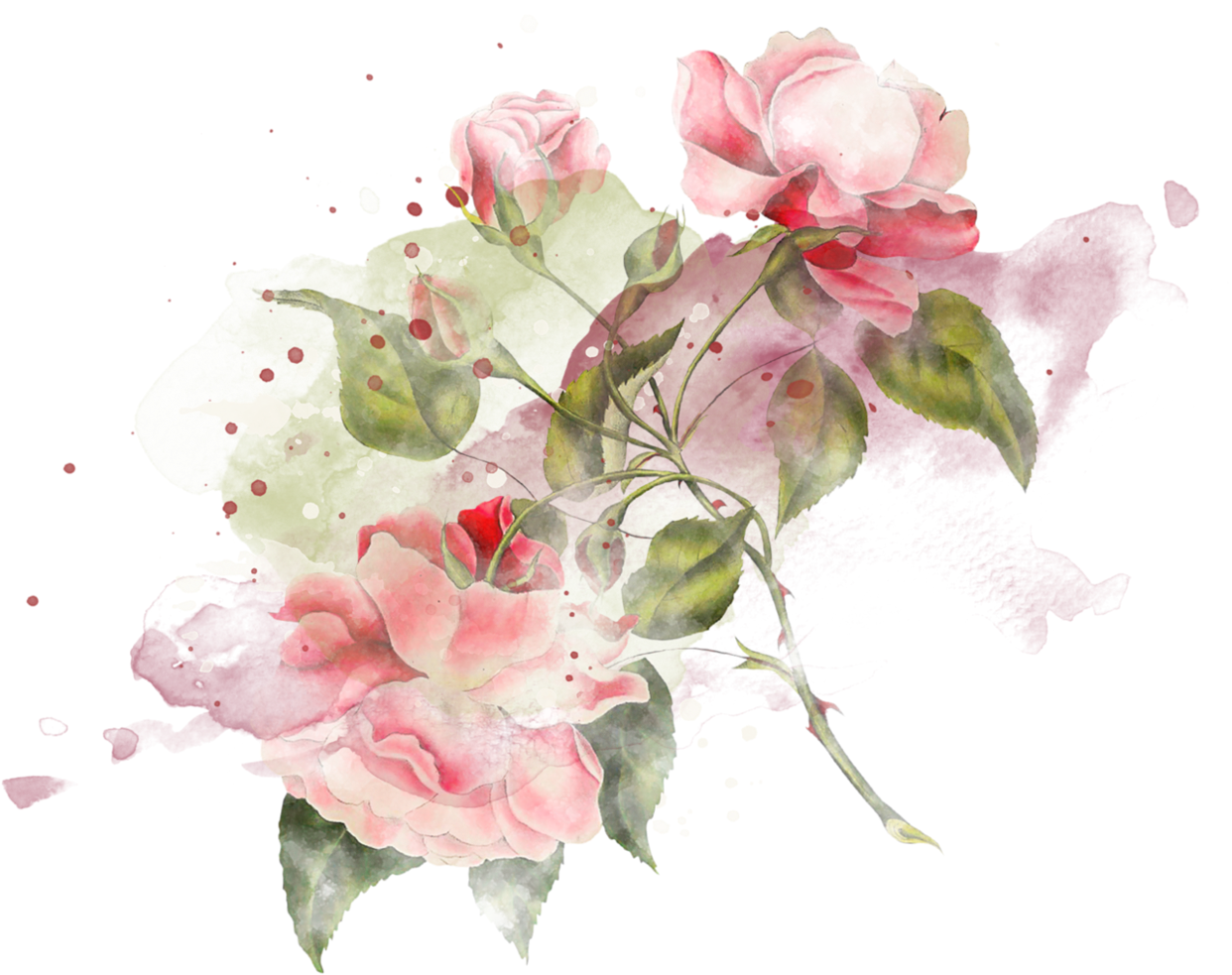 Акварельно прозрачный. Нежные Акварельные цветы. Прозрачные Акварельные цветы. Розовые Акварельные цветы.