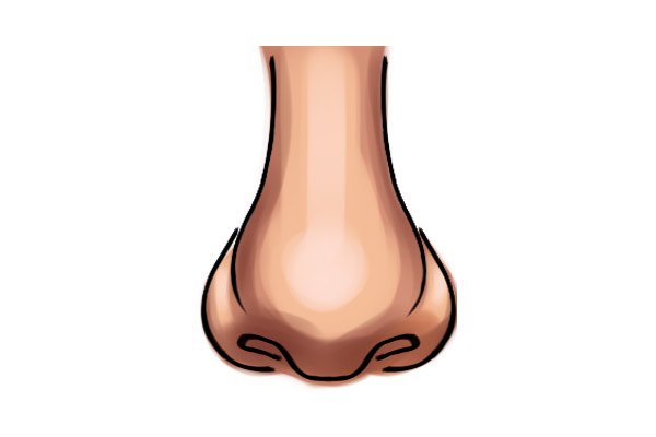 Нос на прозрачном фоне