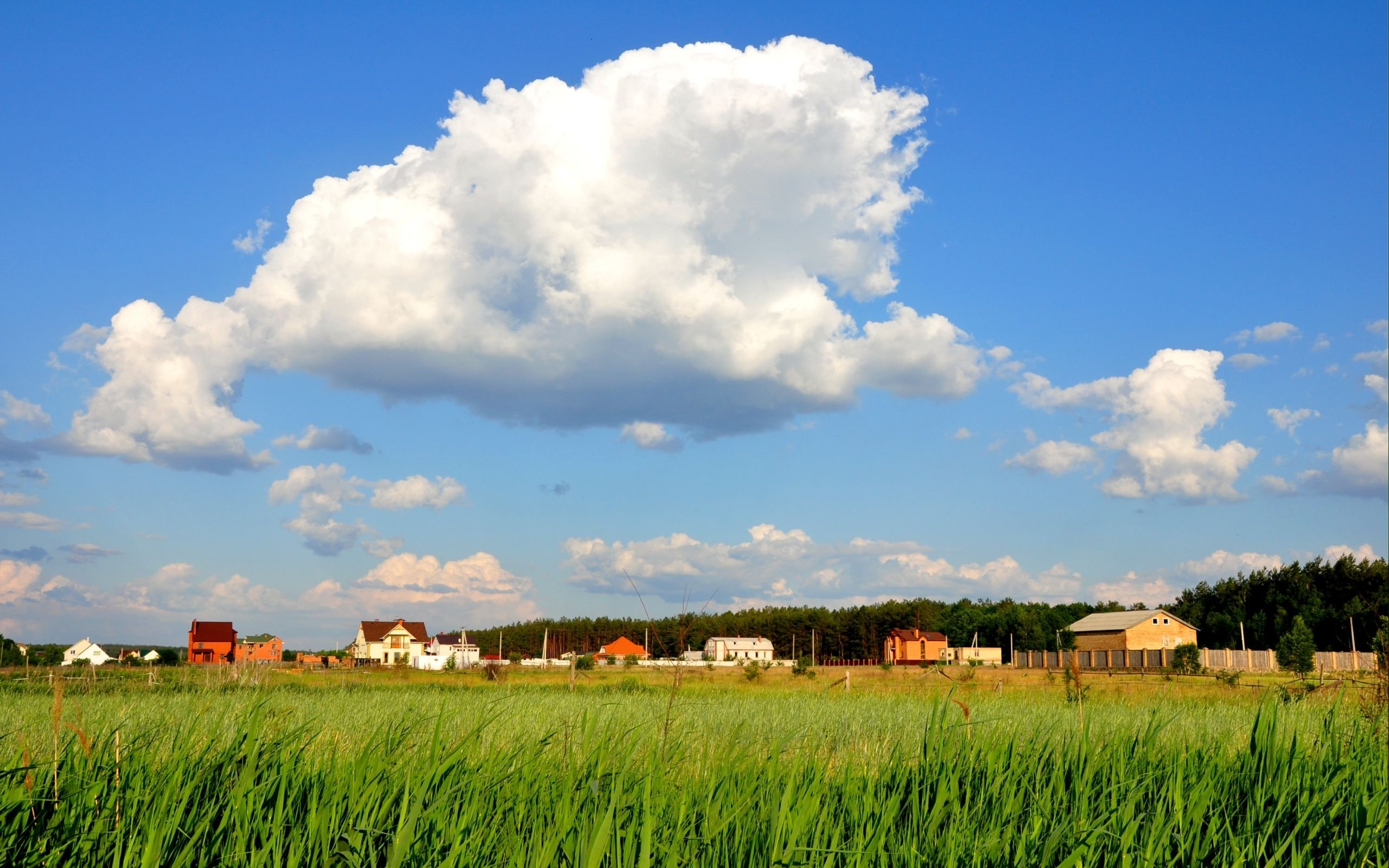 Белые облака и дом. Панорама деревни. Поле за городом. Панорама загородного участка. Панорама дачного участка.