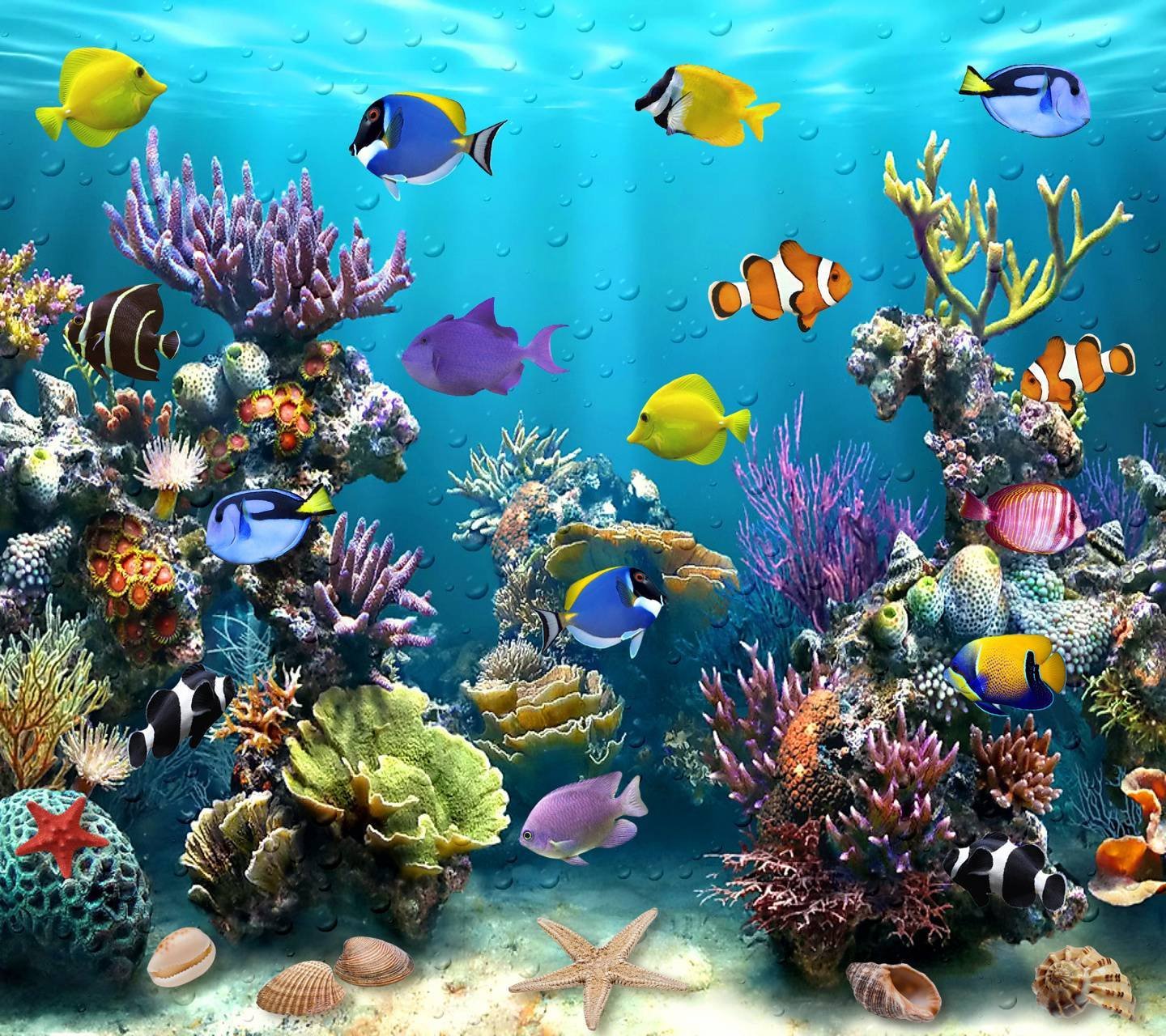 Живые аквариумы на телефон. Живой аквариум. Подводный мир рыбки. Подводный мир аквариум. Подводные рыбы.