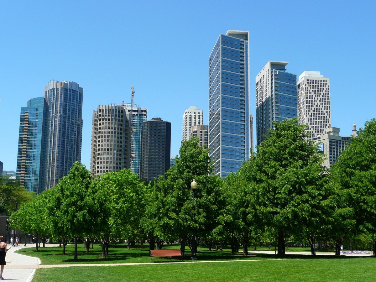 Вид городских деревьев. Небоскребы Чикаго. Парк в городе Чикаго. Chicago парк США. Парк Иллинойс.