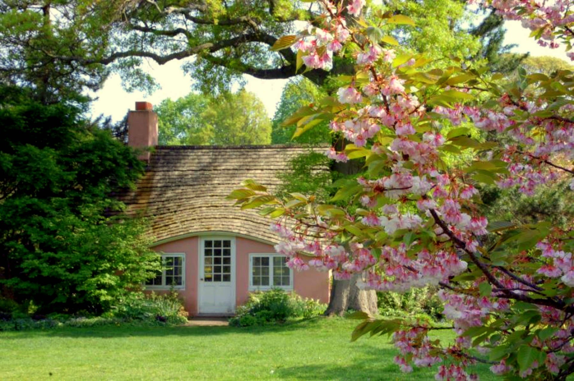 Лето дома ком. Вишнёвый сад на даче фото. Вишнёвый сад поместье. Домик с цветущим садом.