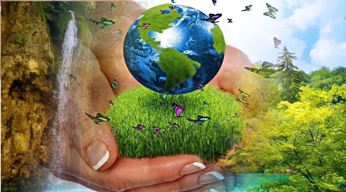 Многообразие окружающей среды. 5 Июня Всемирный день окружающей среды. Охрана природы. Защита природы и окружающей среды. Экология и охрана природы.
