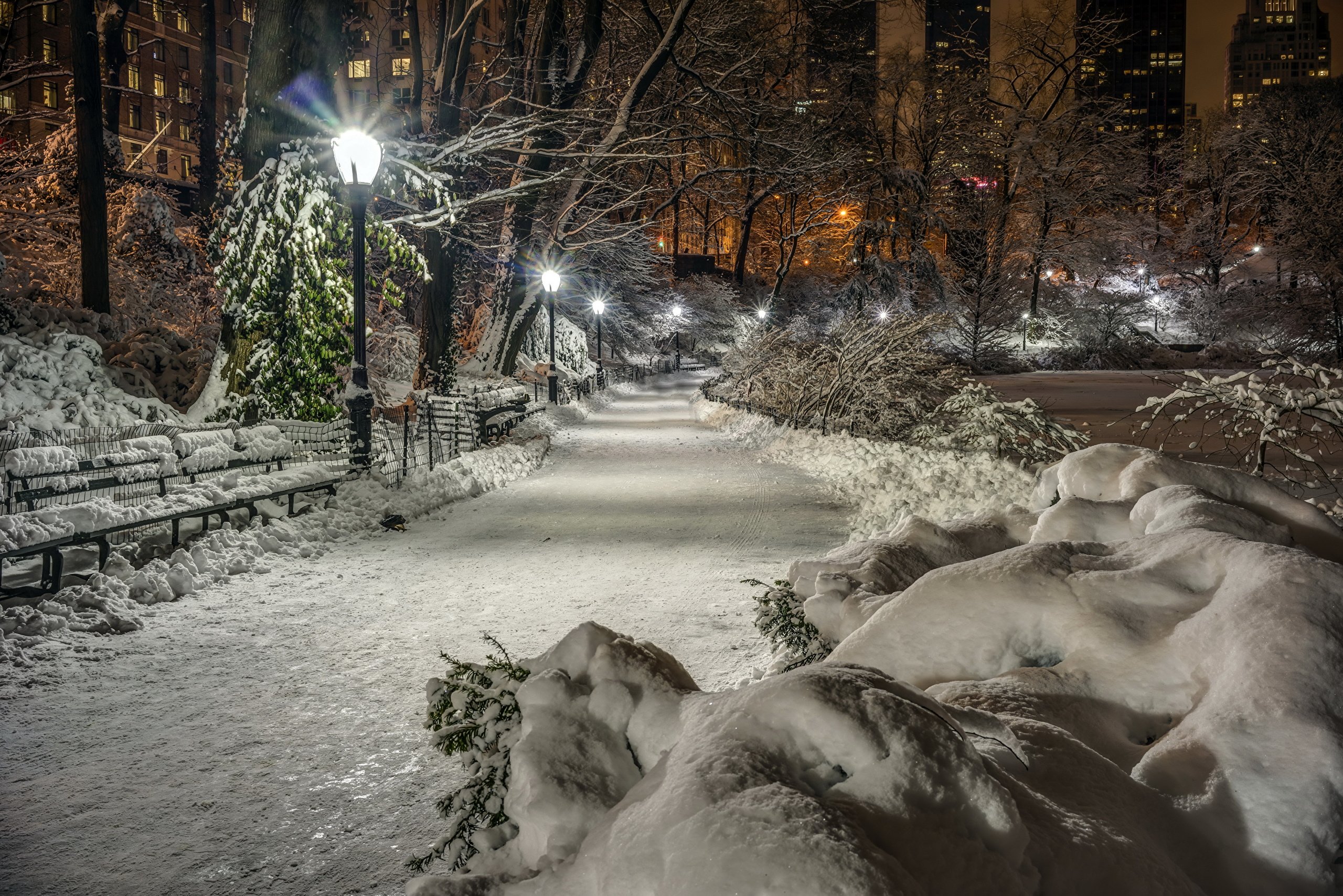 Зимний парк. Зима в городе. Зимняя ночь в городе. Красивый снегопад.