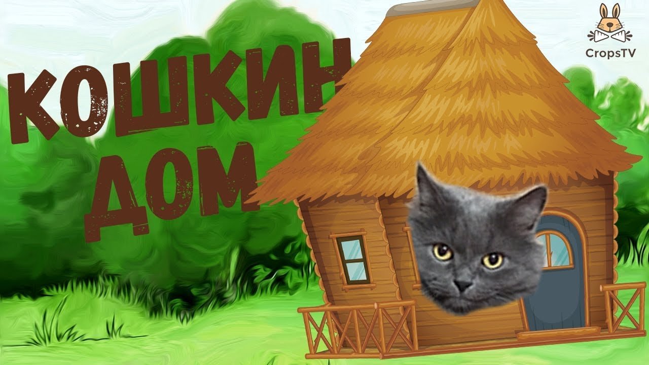 Телеграм кошкин дом