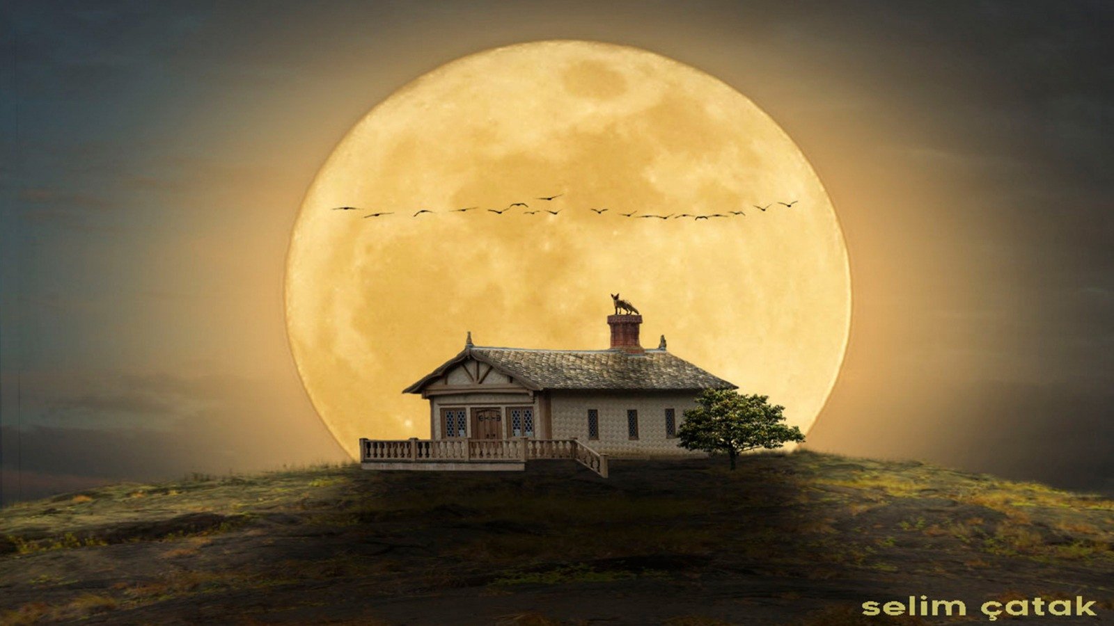 Дом под луной. Пейзаж с луной. Луна над домами.