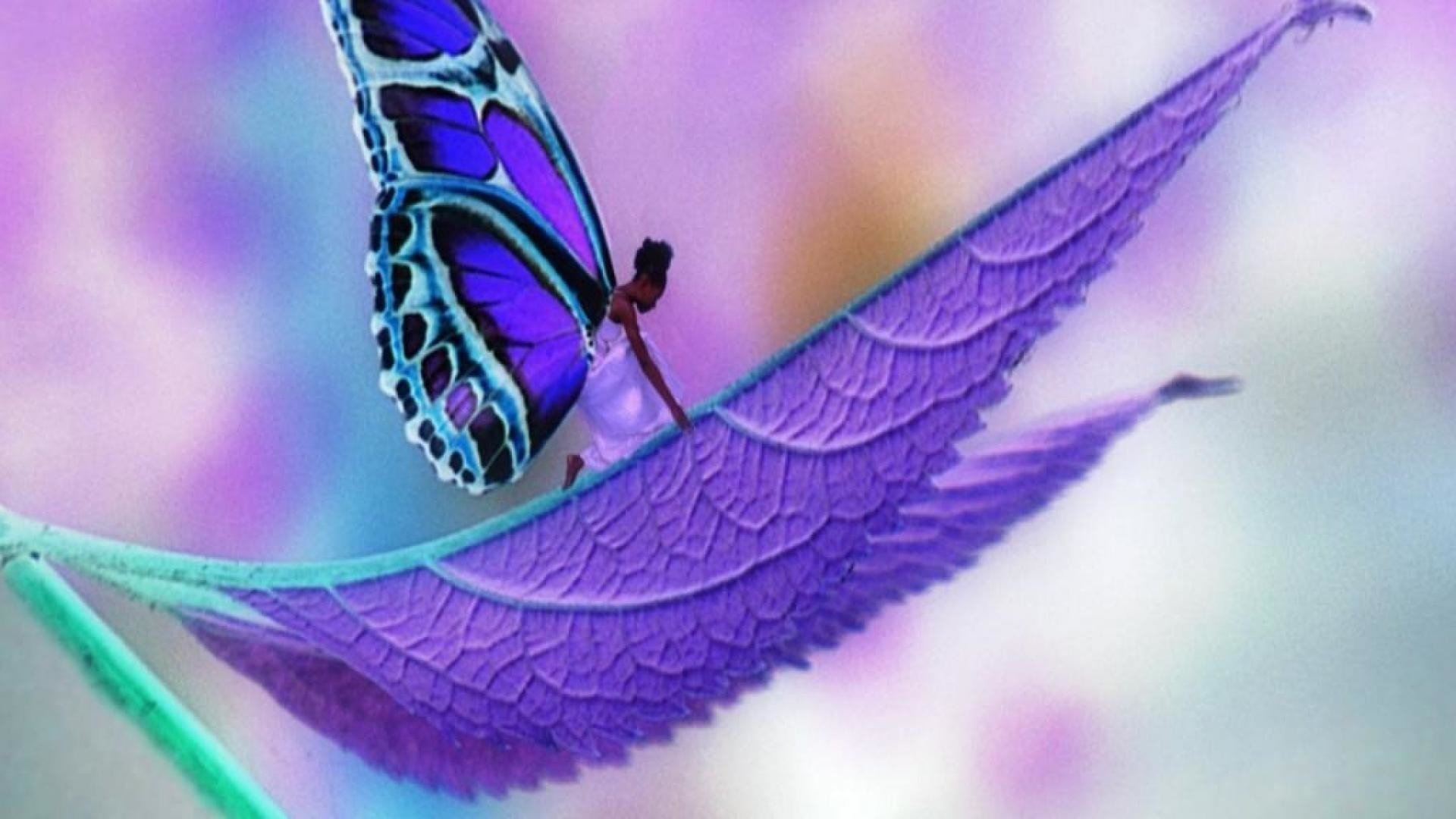 Аватарки с бабочками. Бабочка фиолетовая. Красивые бабочки. Сиреневые бабочки. Волшебные бабочки.
