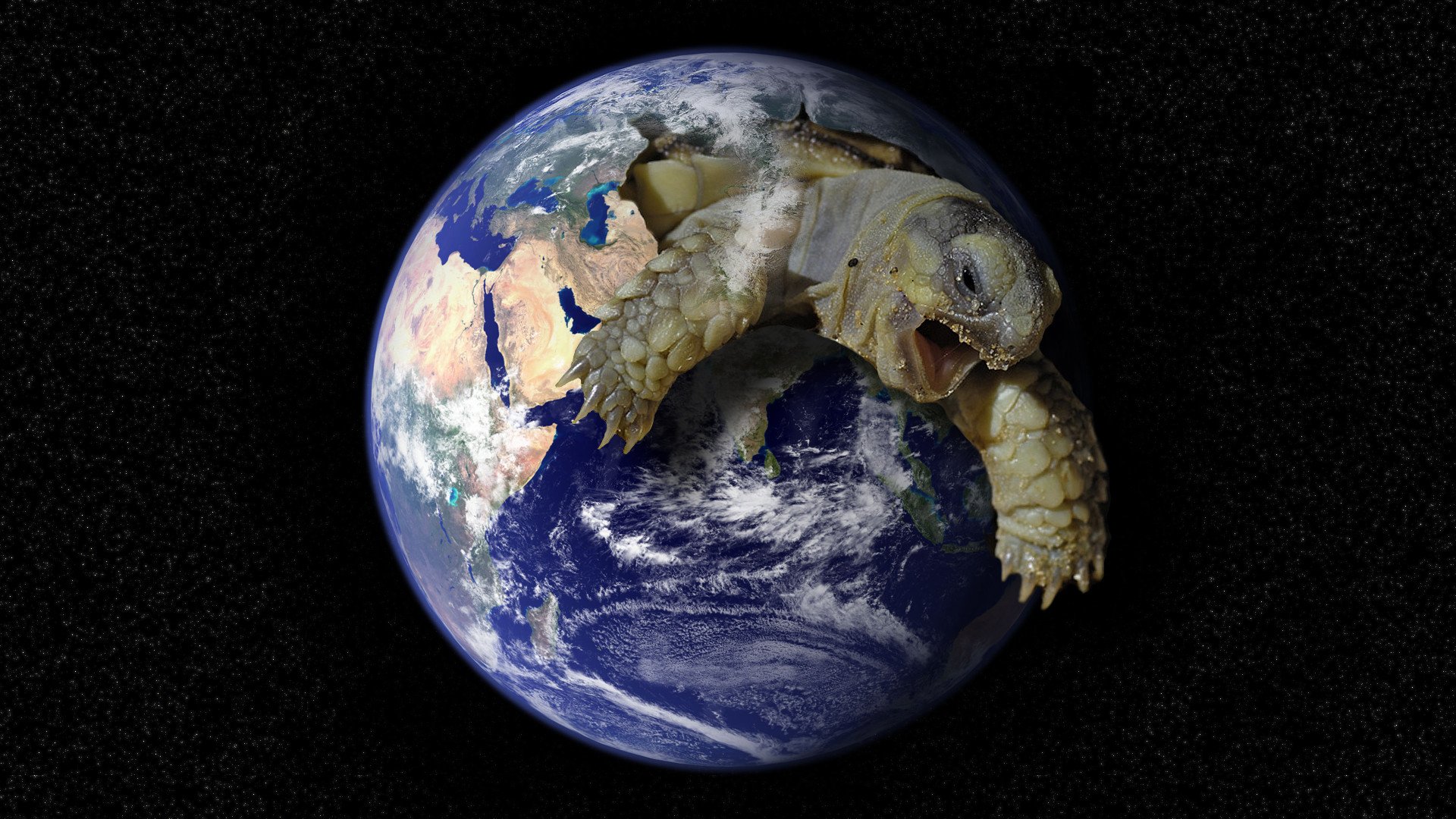 На чем держится мир. Черепаха три слона плоская земля. Планета земля. Земля на черепахе. Планета земля на черепахе.
