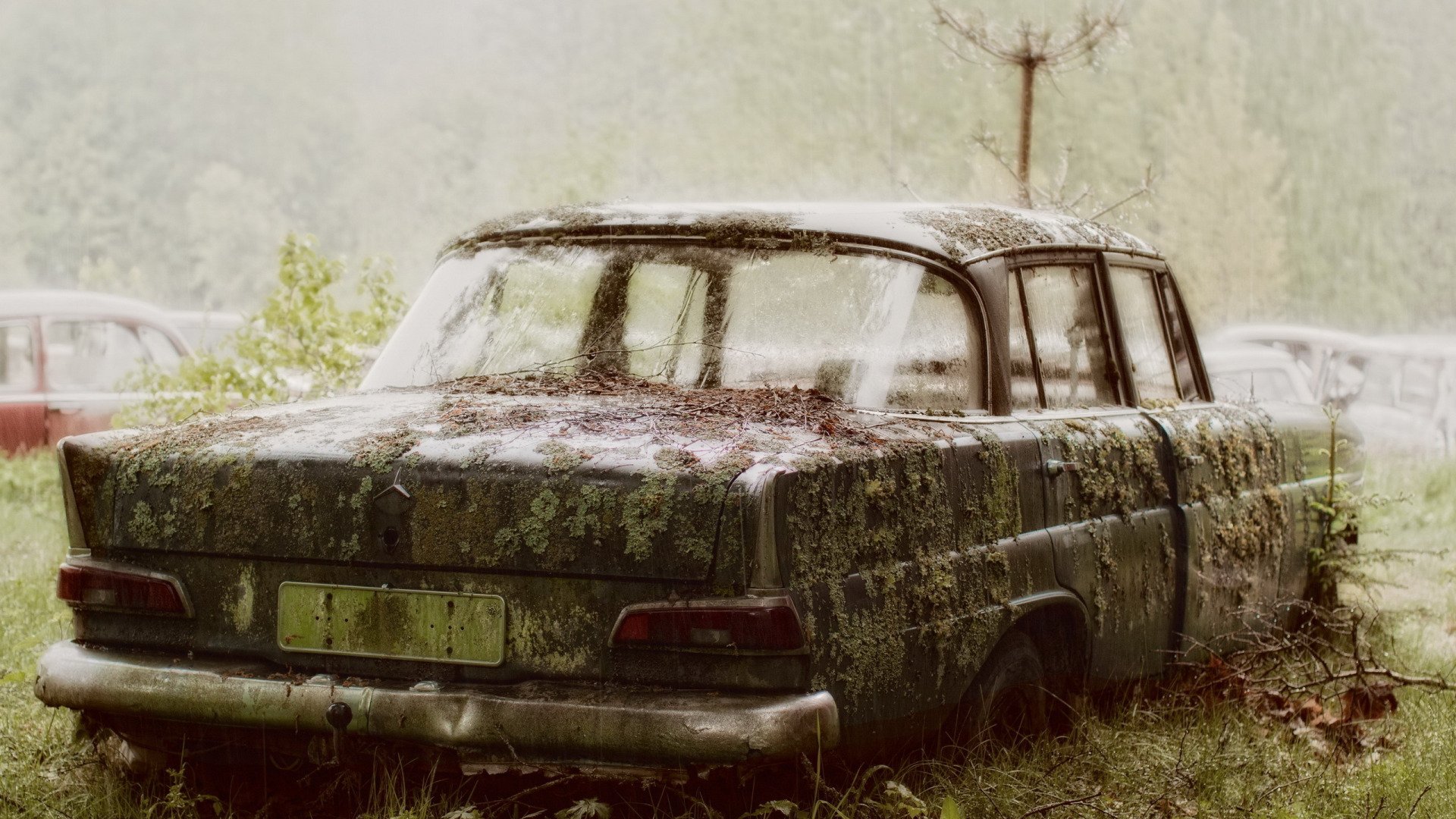 Разрушенная машина. Ржавый автомобиль. Старый Ржавый автомобиль. Старый сломанный автомобиль.