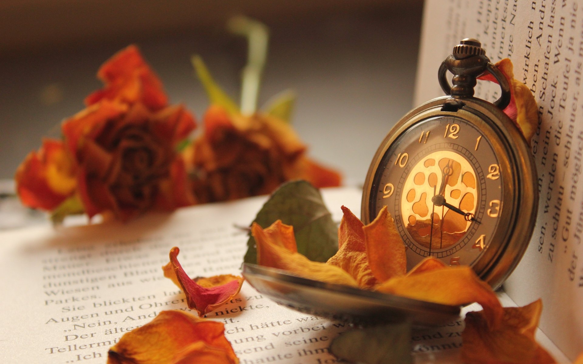 Минута уюта. Обои на рабочий стол книги. Часы "цветок". Часы осень. Поэтическая осень.