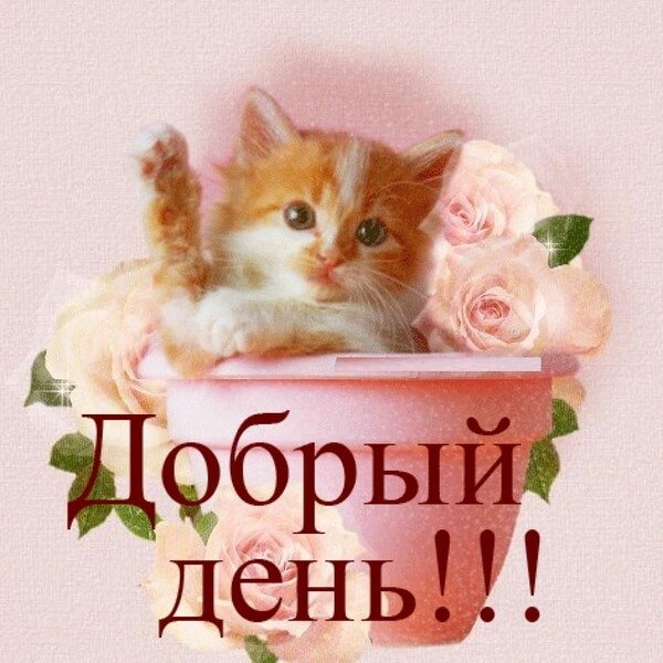 Добрый день